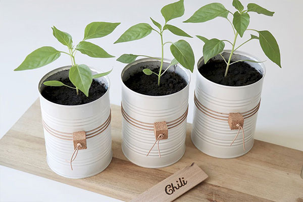 Upcycling latas e vazos para plantas
